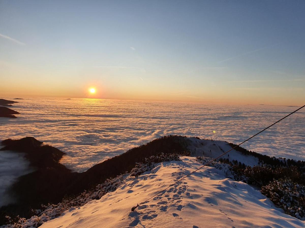 ŠenčurHisa Na Vrtu公寓 外观 照片